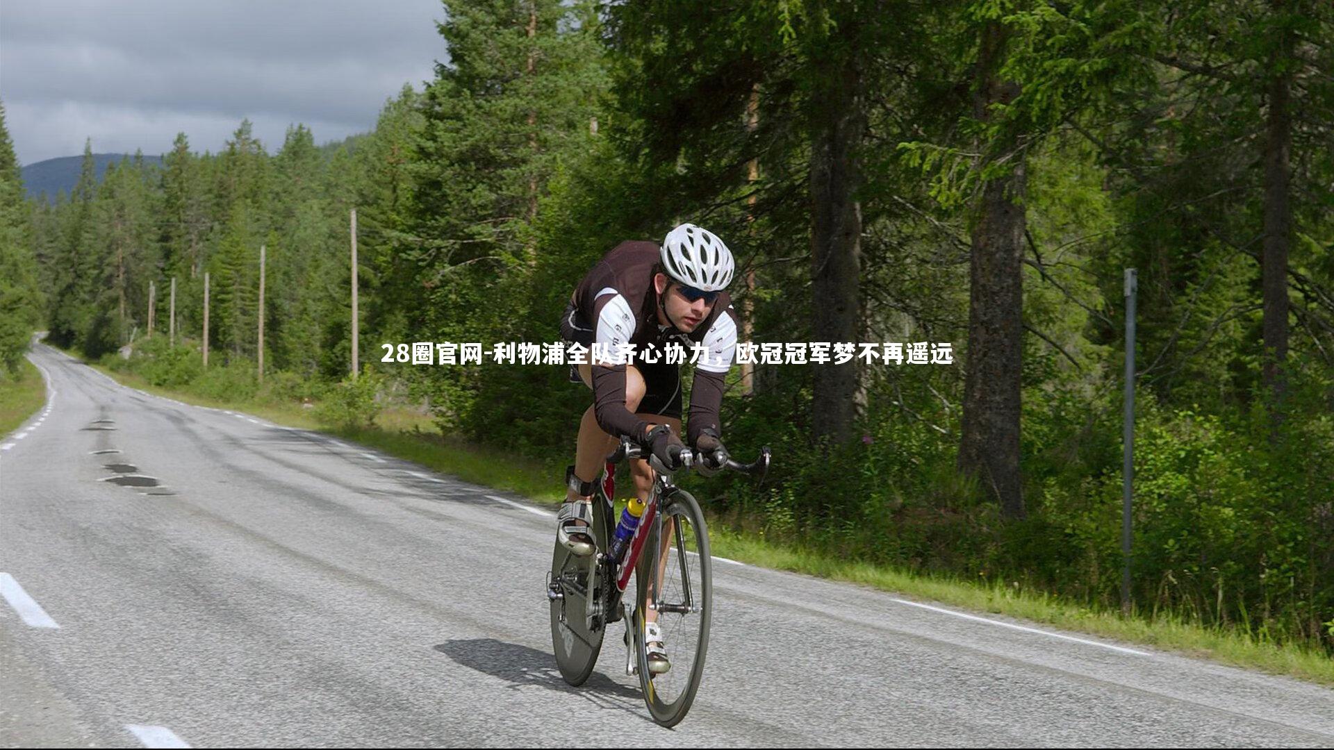 利物浦全队齐心协力，欧冠冠军梦不再遥远