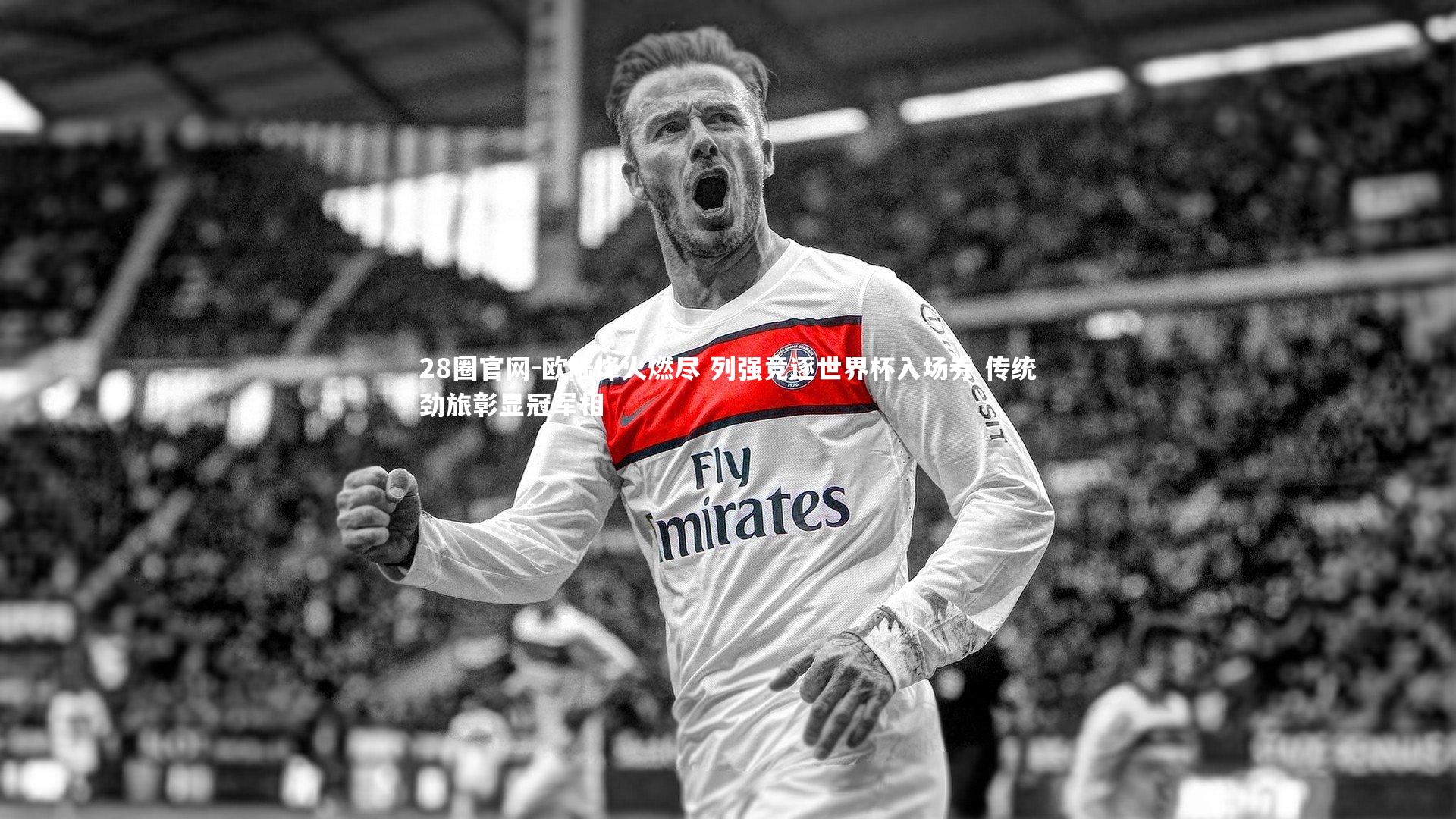欧陆烽火燃尽 列强竞逐世界杯入场券 传统劲旅彰显冠军相