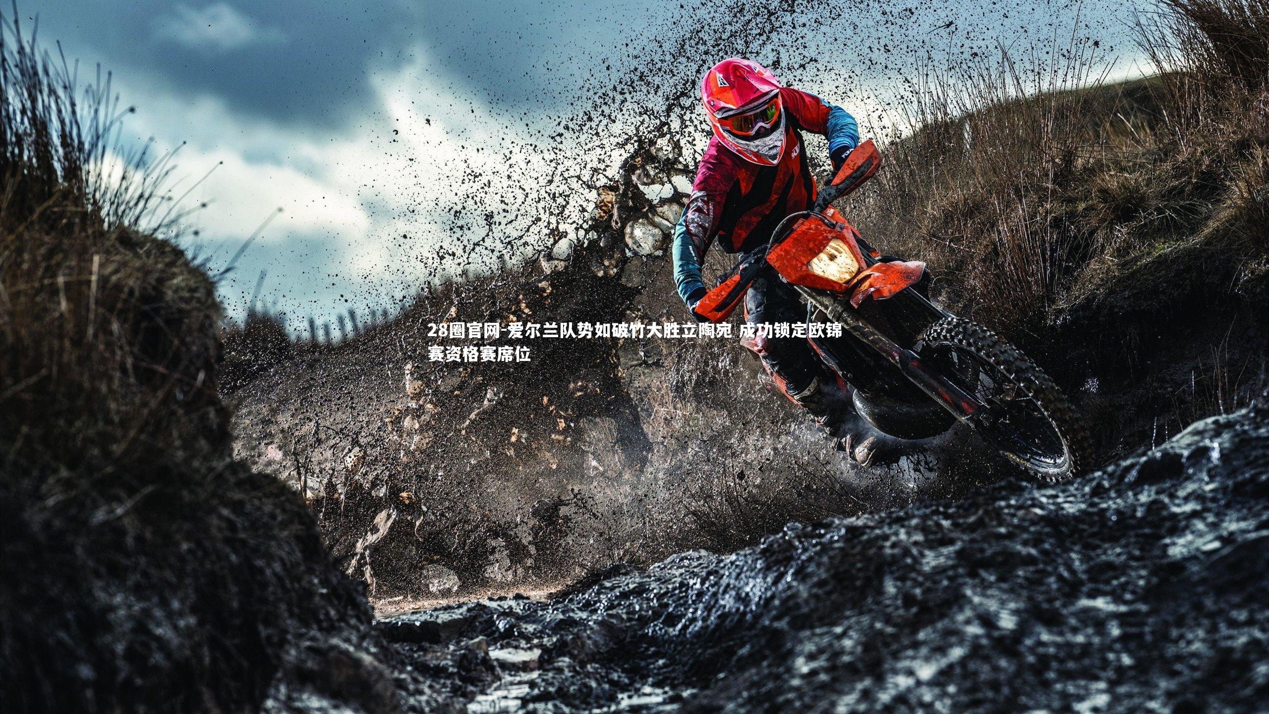 爱尔兰队势如破竹大胜立陶宛 成功锁定欧锦赛资格赛席位