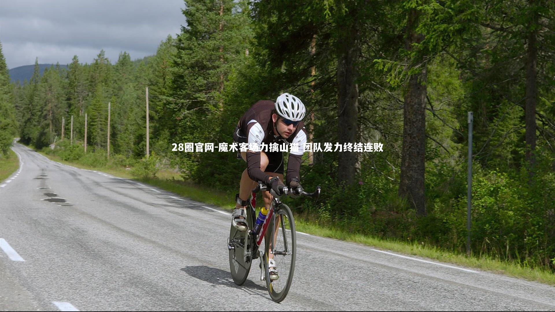 魔术客场力擒山猫 团队发力终结连败