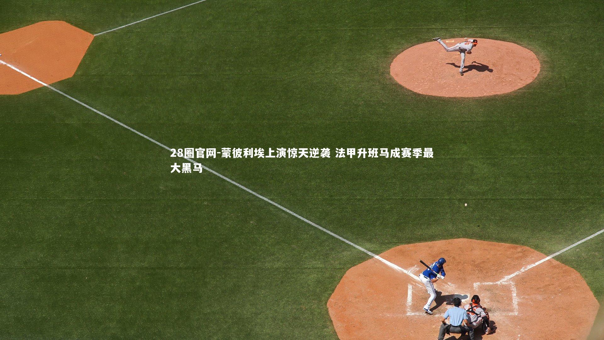 28圈官网-蒙彼利埃上演惊天逆袭 法甲升班马成赛季最大黑马
